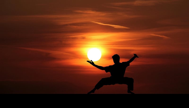 Wu Style Tai Chi Image